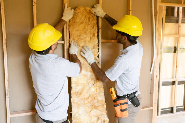 Best Insulation Repair Services  in Waawa, HI